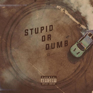 Stupid Or Dumb