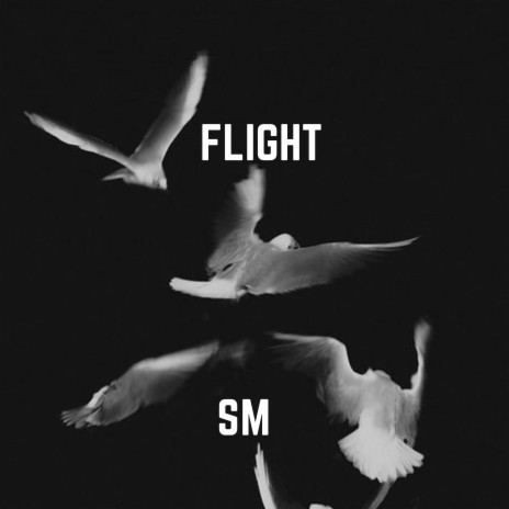 Flight 🅴 | Boomplay Music