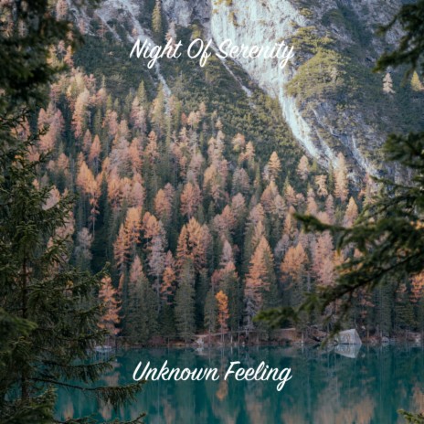 Unknown Feeling | Boomplay Music