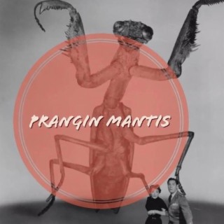 Prangin' Mantis
