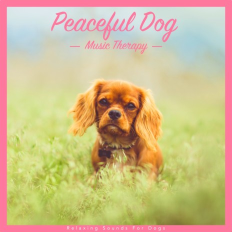 Peaceful Meditation ft. Dog Music & Relaxmydog