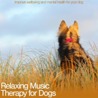 Relaxing Music Therapy for Dogs: Improve Wellbeing and Mental Health for Your Dog