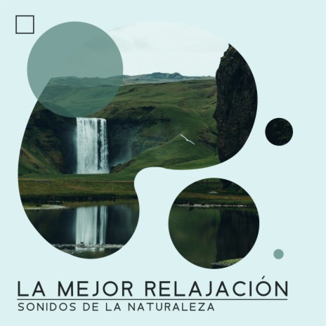 Relajación por la lluvia ft. Zona Música Relaxante