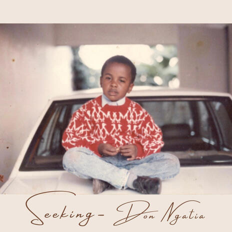 Seeking | Boomplay Music