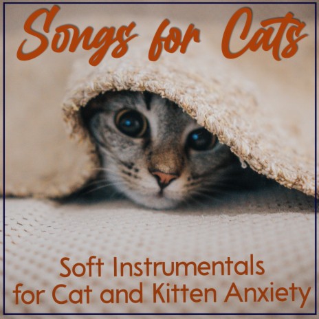 Soft Instrumentals