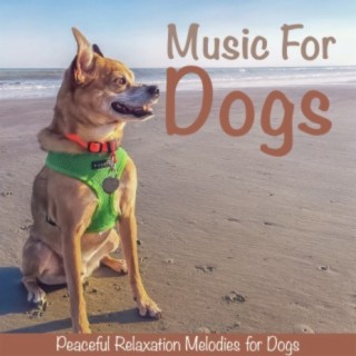 Music For Dogs: Peaceful Relaxation Melodies for Dogs