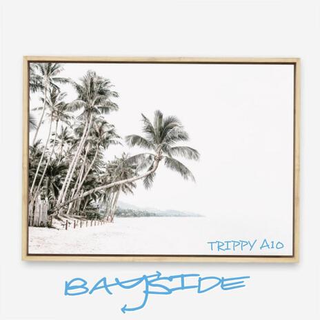 Bayside | Boomplay Music