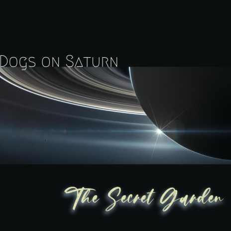 Dogs on Saturn | Boomplay Music