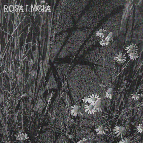 rosa i mgła | Boomplay Music