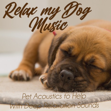 Soft Music ft. Dog Music Therapy & Dog Music Dreams | Boomplay Music