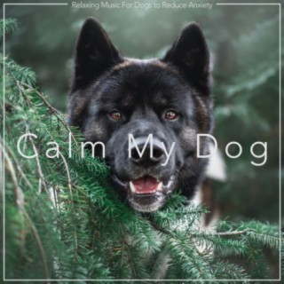 Calm My Dog: Relaxing Music For Dogs to Reduce Anxiety