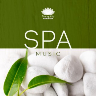 Spa Music: Soothing and Relaxing Music for Spa, Wellness, Massage Therapy, Yoga, Meditation, Sleeping