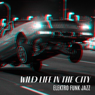 Wild Life in the City: Elektro Funk Jazz - Study Break Music Relax