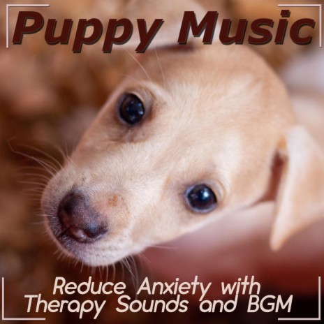 Warm Grass ft. Relaxmydog & Dog Music Therapy | Boomplay Music