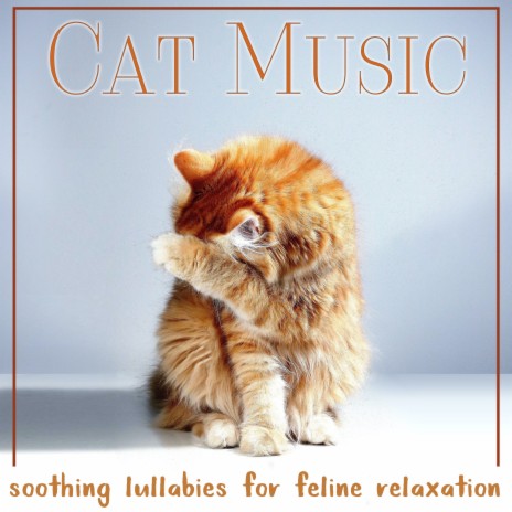 The Perfect Weekend ft. Cat Music Dreams & Cat Music Therapy