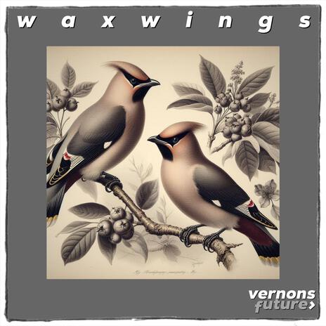 Waxwings | Boomplay Music