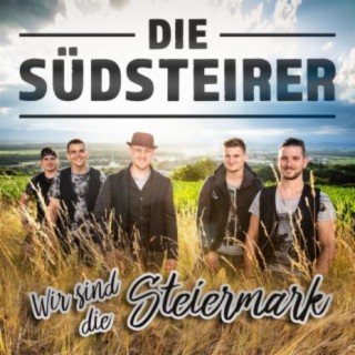 Wir sind die Steiermark