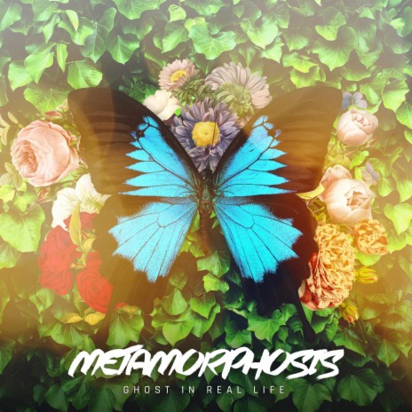 Metamorphosis | Boomplay Music