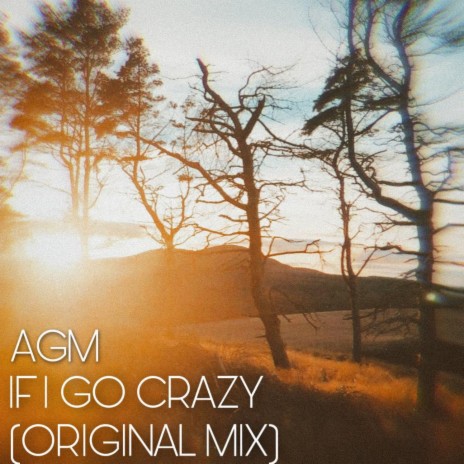 If I Go Crazy | Boomplay Music