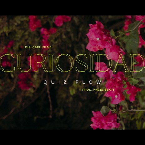 CURIOCIDAD ft. QUIZ FLOW | Boomplay Music