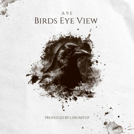 Birds Eye View | Boomplay Music