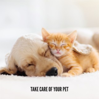 Take Care of Your Pet Thanks to White Noise that Relaxes Him & Lulls Him to Sleep (Delicate New Age Music, White Noise, Meditation, Deep Relaxation)