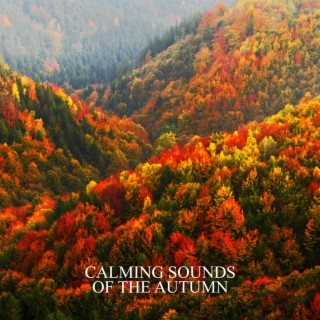 Calming Sounds of the Autumn: Ambient Melodies of the Forest and Nature, Finding Peace of Mind with Relaxing Nature Sounds