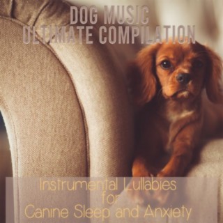 Dog Music Ultimate Compilation: Instrumental Lullabies for Canine Sleep and Anxiety