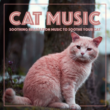 Soft Paws ft. Cat Music Dreams & Cat Music Therapy