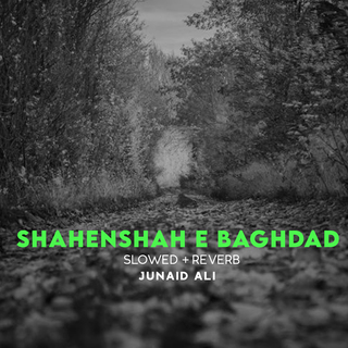 Shahenshah e Baghdad Lofi