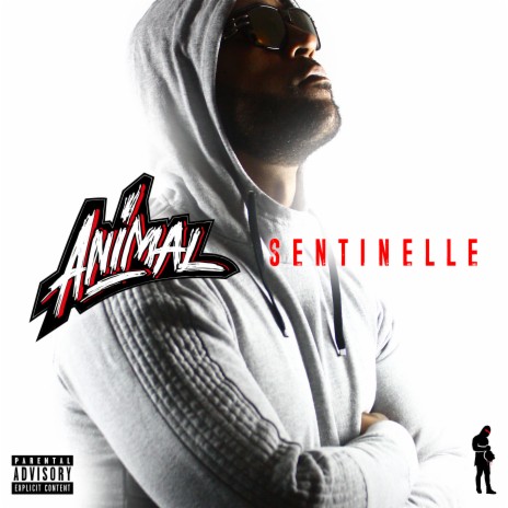 Sentinelle | Boomplay Music