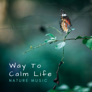 Way to Calm Life – Relaxing Nature Music to Comfort Your Mind, Aid for Instant Anxiety Relief