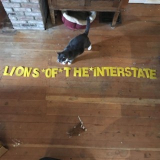 Lions of the Interstate