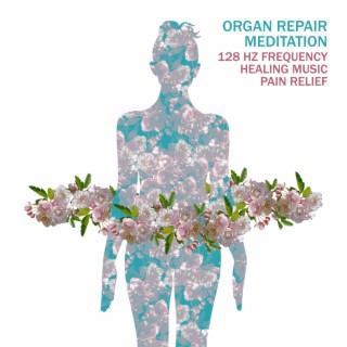 Organ Repair Meditation: 128 HZ Frequency Healing Music, Pain Relief