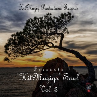 HitMuziq Productions Records Presents 'HitMuziq' Soul, Vol. 3