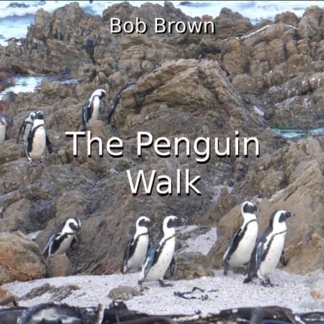 The Penguin Walk | Boomplay Music