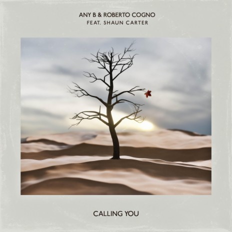 Calling You ft. Roberto Cogno & Shaun Carter | Boomplay Music