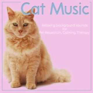 Cat Music: Relaxing Background Sounds for Pet Relaxation, Calming Therapy