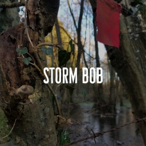 Storm Bob | Boomplay Music