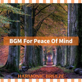 BGM For Peace Of Mind