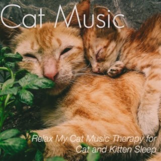 Music for Cats: Relax My Cat Music Therapy for Cat and Kitten Sleep