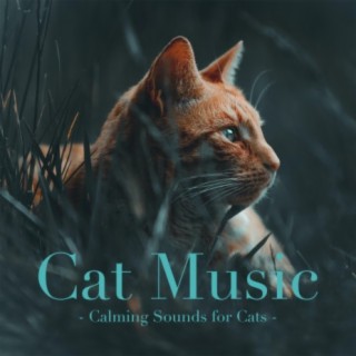 Cat Music: Calming Sounds for Cats