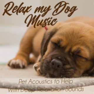 Relax My Dog Music: Pet Acoustics to Help With Deep Relaxation Sounds