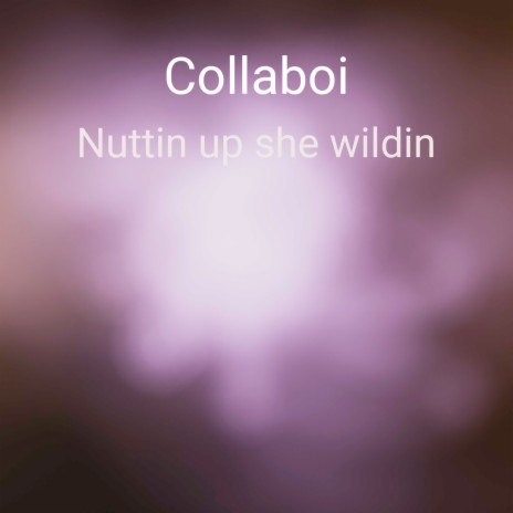 Nuttin up she wildin | Boomplay Music