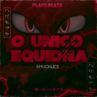 Knuckles: O Único Equidna