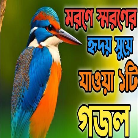 হৃদয় জুরানো মনে শান্তি পাবেন খুব সুন্দর গজল | | Boomplay Music