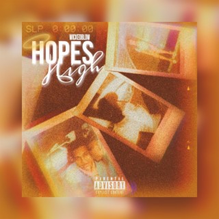 Hopes High