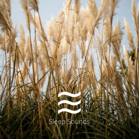Shushing mellow white noise sounds | Boomplay Music