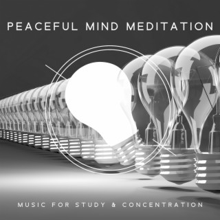 Peaceful Mind Meditation - Music for Study & Concentration: Exam Study, Increase Brain Power, Relaxing Studying, Concentration Improve, Better Learning, Beautiful Minds, Yoga for Brain