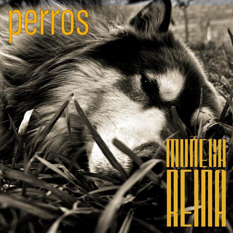 Perros (re-edited) | Boomplay Music